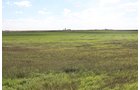 Property photo 35 - LAND AUCTION, 3255+/- Acres offered in 13 Tracts